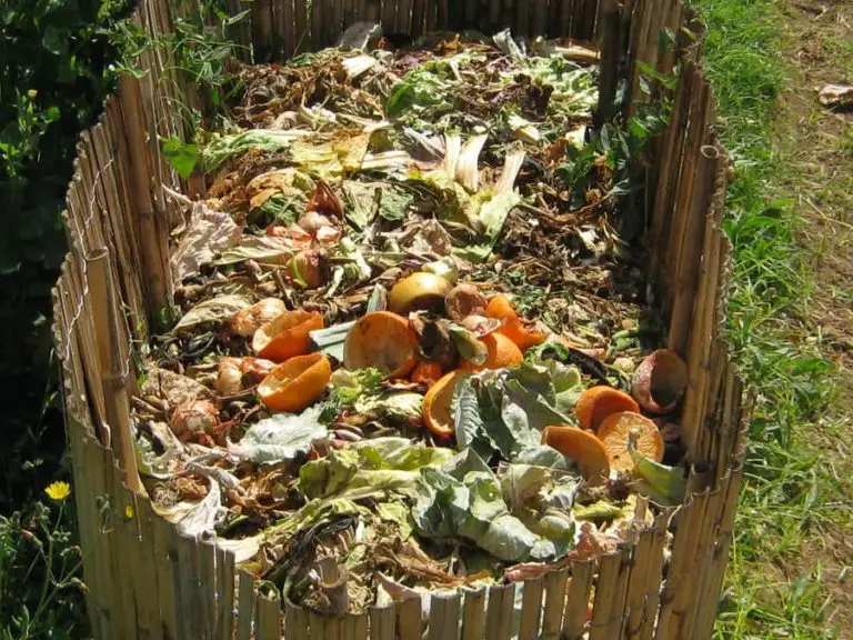 beginners-guide-to-composting-how-long-does-it-take