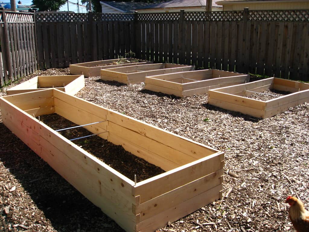 What Should You Put At The Bottom Of Your Raised Garden Bed